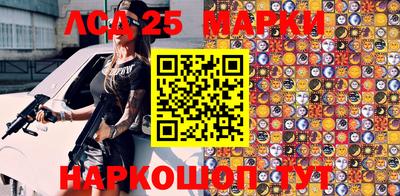 2c-b Кингисепп