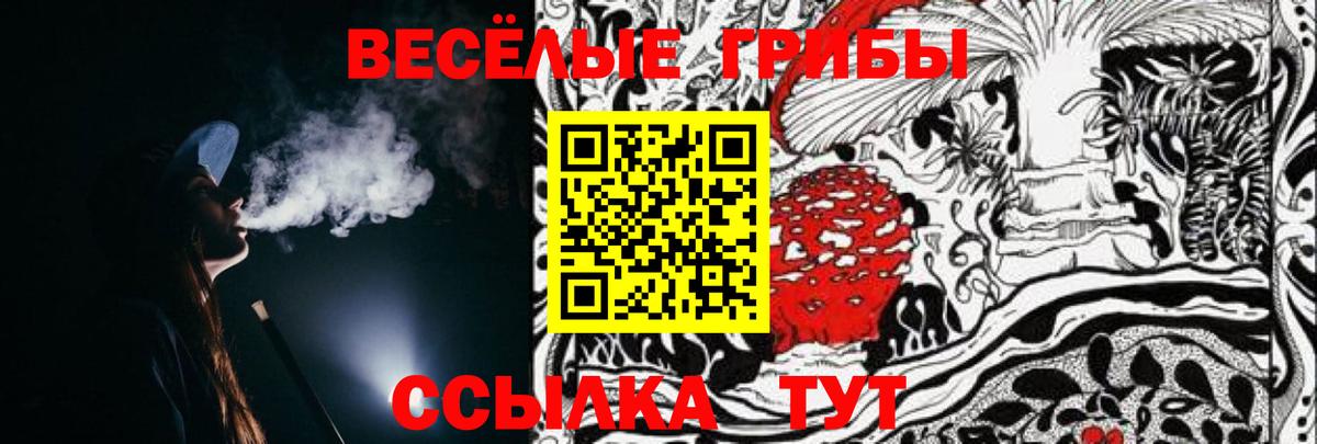 Галлюциногенные грибы MAGIC MUSHROOMS  Вход с VPN  Камышлов 