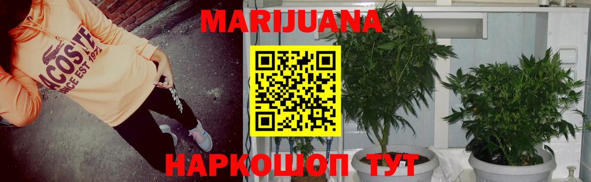 Каннабис конопля Камышлов